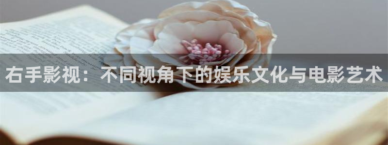 浮力影院①：右手影视：不同视角下的娱乐文化与电影艺术