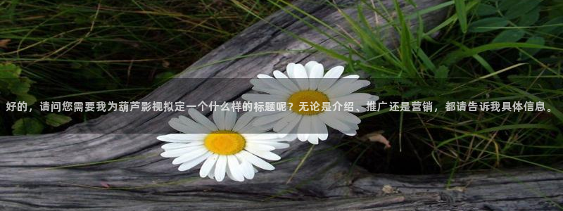 浮力影院国产限制：好的，请问您需要我为葫芦影视拟定一个什么样的标题呢？无论是介绍、推广还是营销，都请告诉我具体信息。