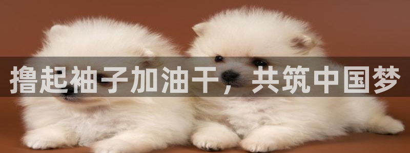 sp85浮力影院：撸起袖子加油干，共筑中国梦