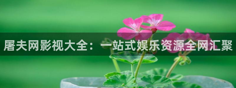 浮力影院app